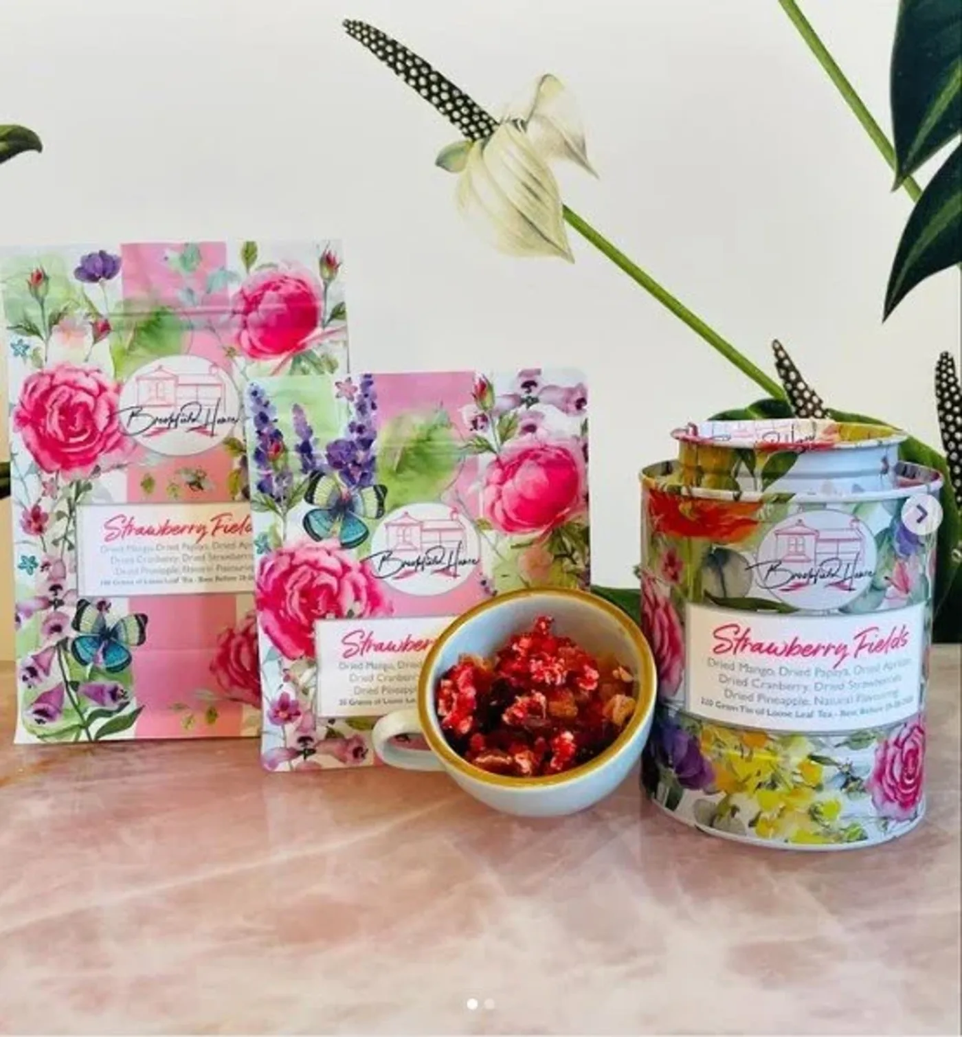 Nadia Azariyeva collaboration with Brookfield House Camden