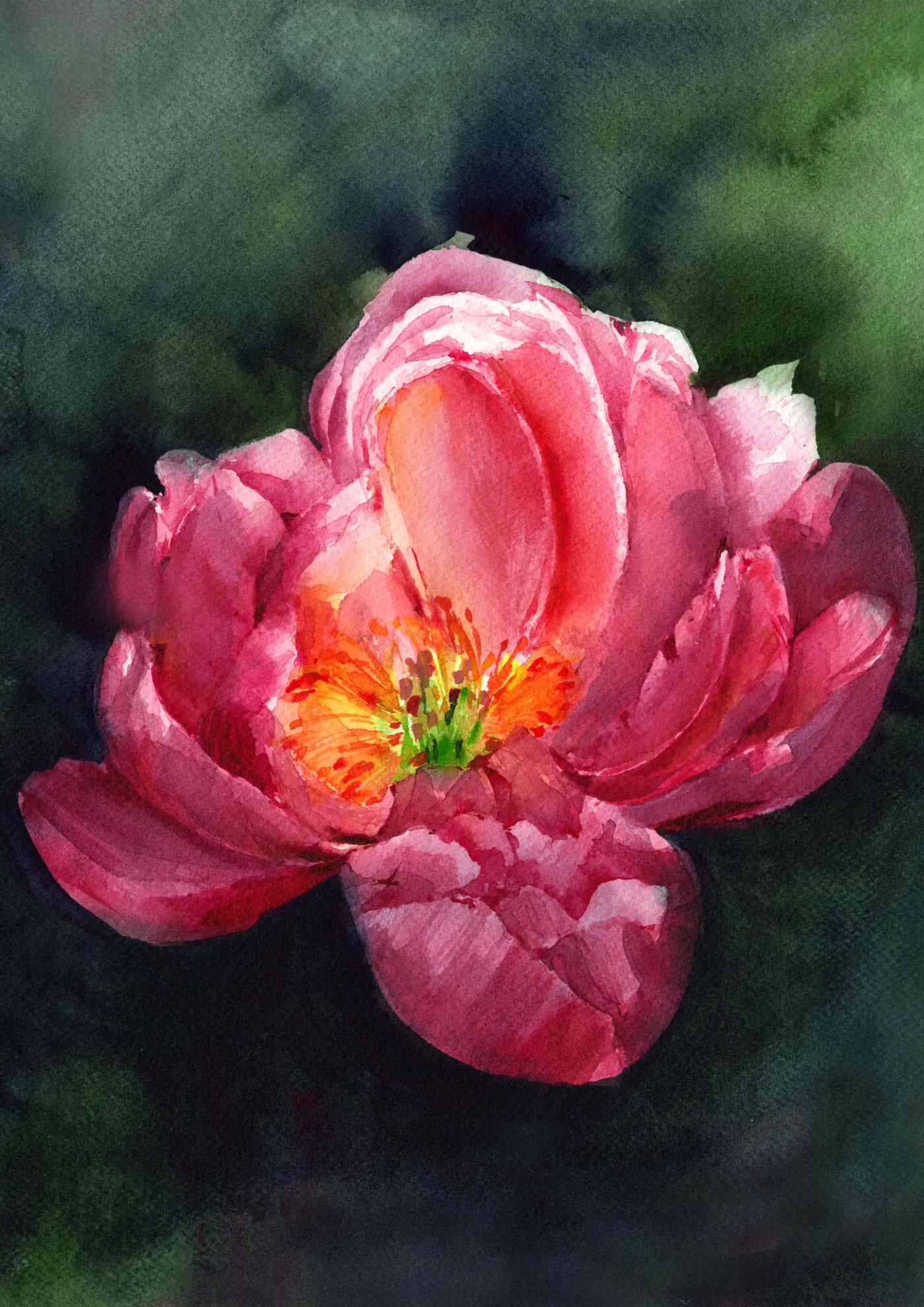 Midnight Peony, watercolor art print