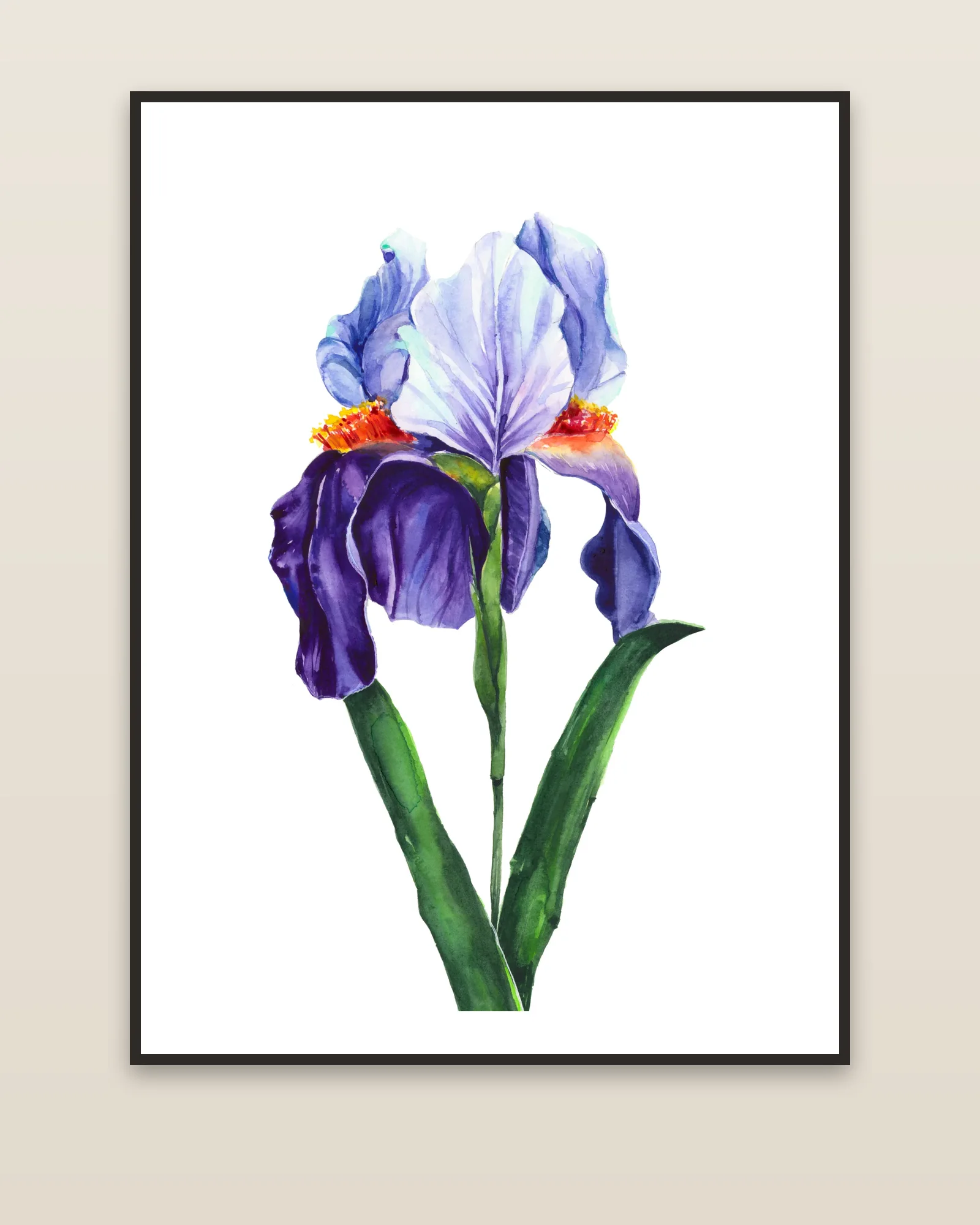 Blue Iris watercolor art print framed on a wall