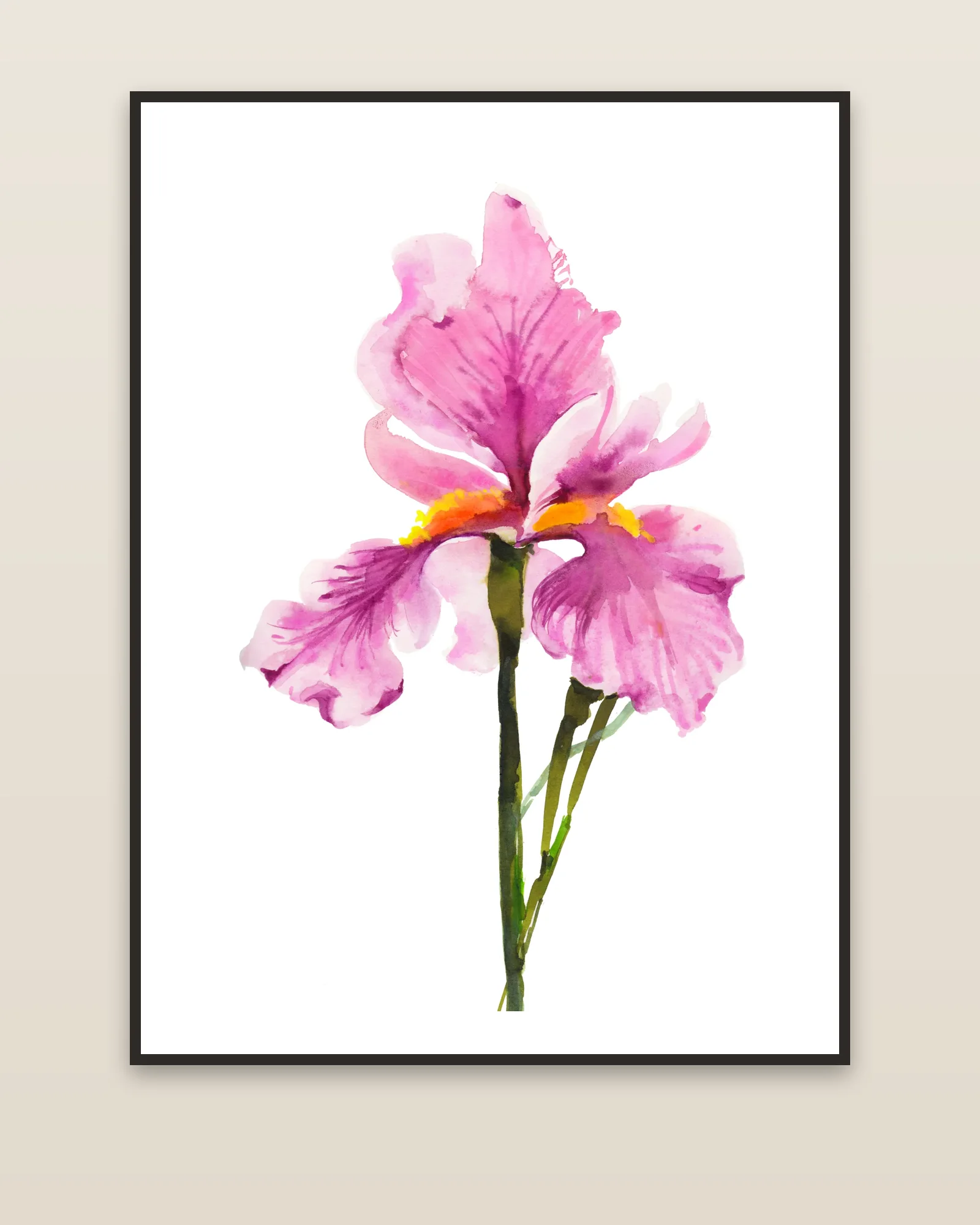 Pink Iris watercolor art print framed on a wall