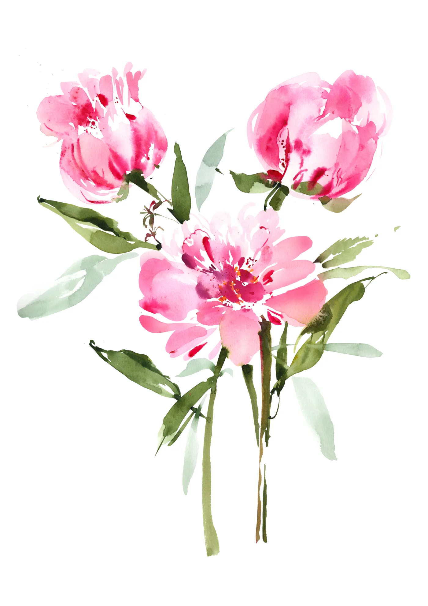 Pink Loose Peonies, watercolor art print