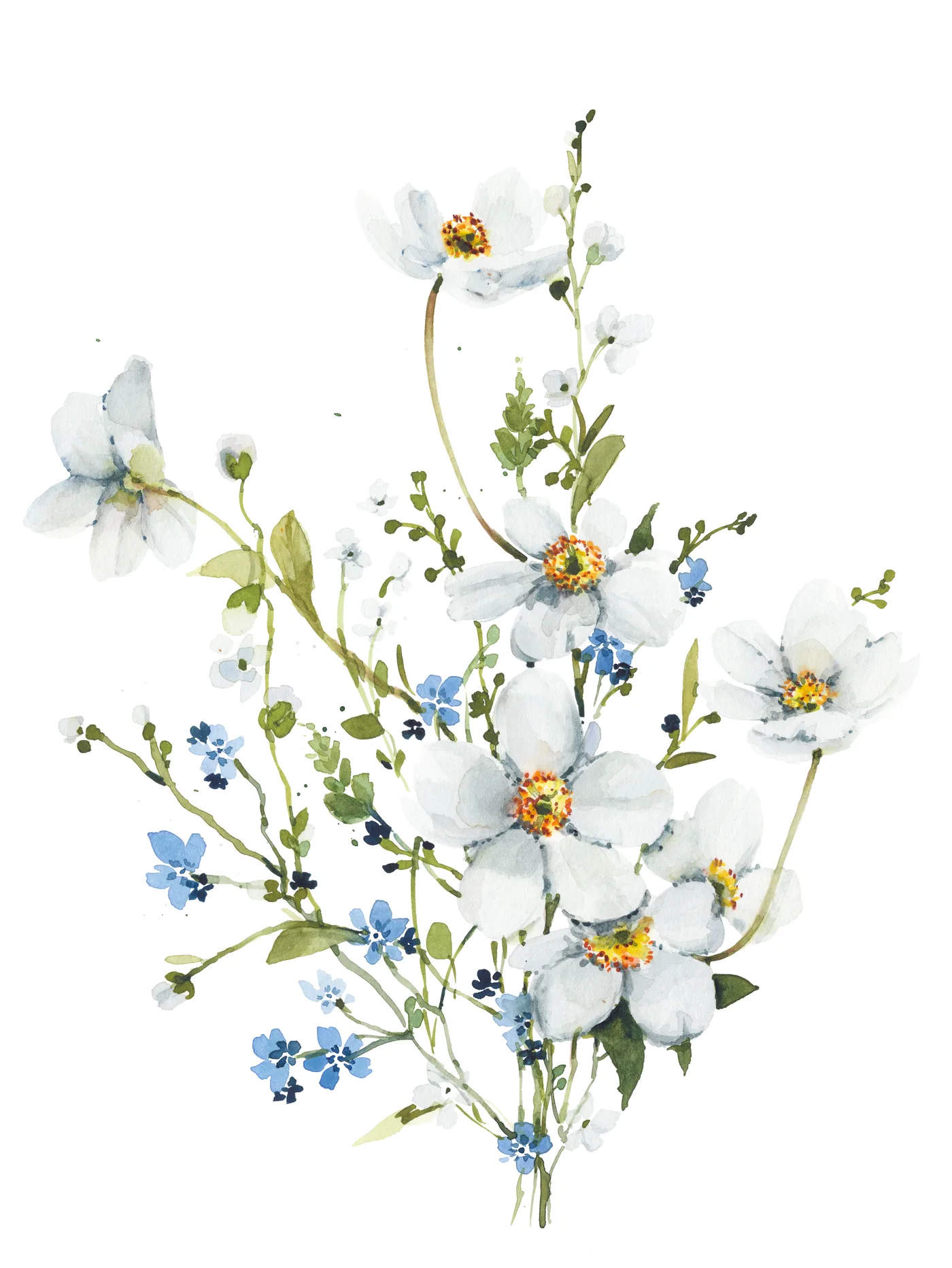 White Anemones, watercolor art print